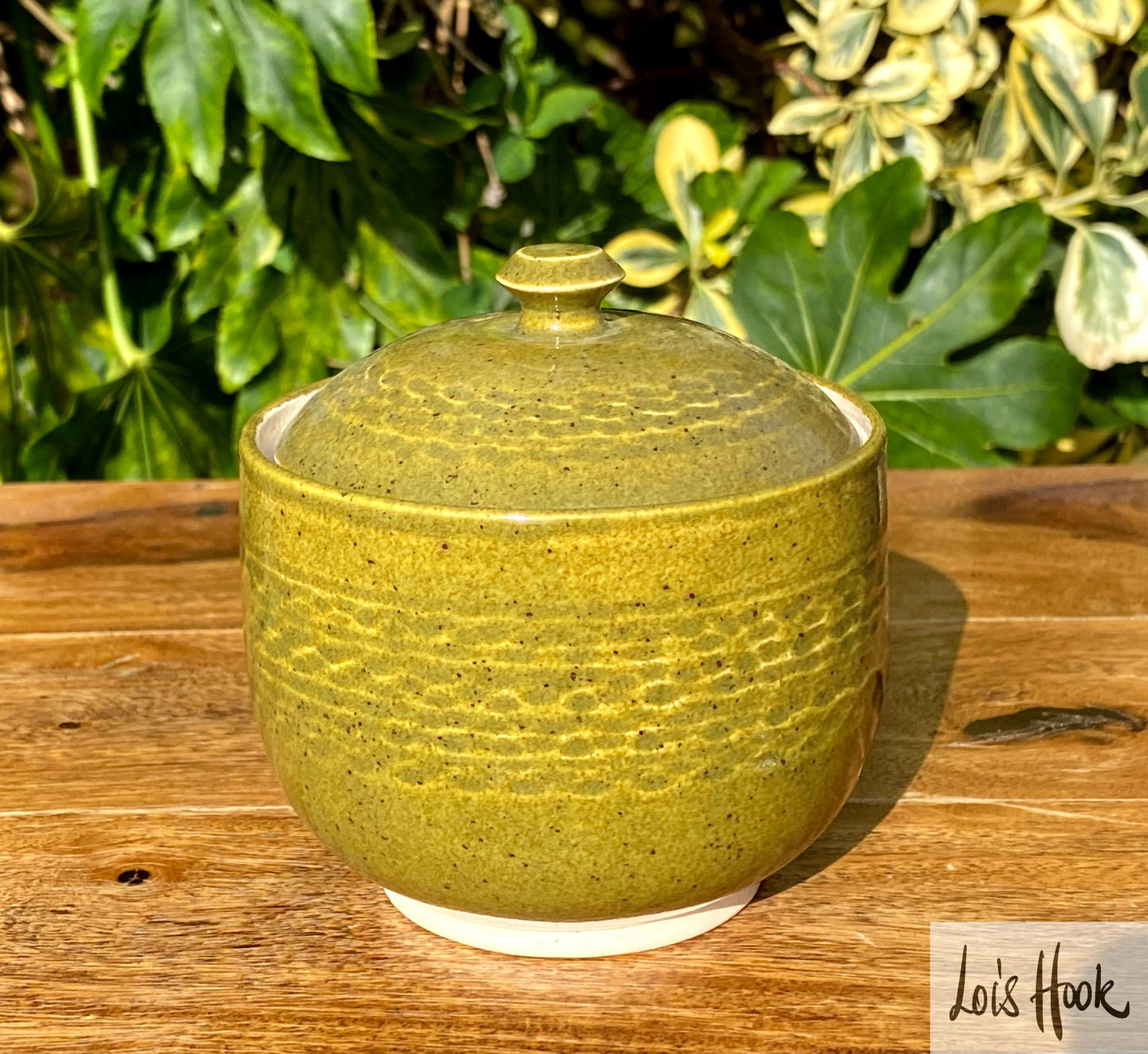 Olive Green Pot with Lid 9.5cm